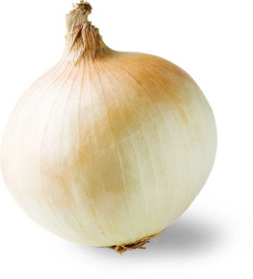Organic Sweet Onion