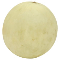 Orange Flesh Melon - Image 1