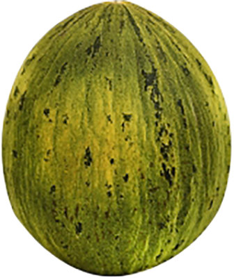 Santa Claus Melon - Image 1