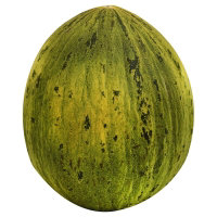 Santa Claus Melon - Image 1