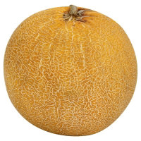 Galia Melon