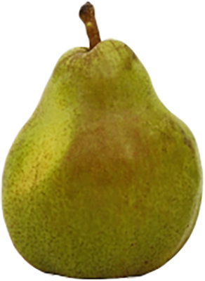 Comice Pear - Image 1