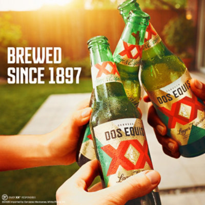 Dos Equis Mexican Lager Beer Single Bottle - 24 Fl. Oz. - Image 5