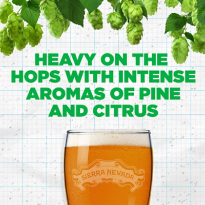 Sierra Nevada Pale Ale Craft Beer In Bottles - 24-12 Oz - Image 2