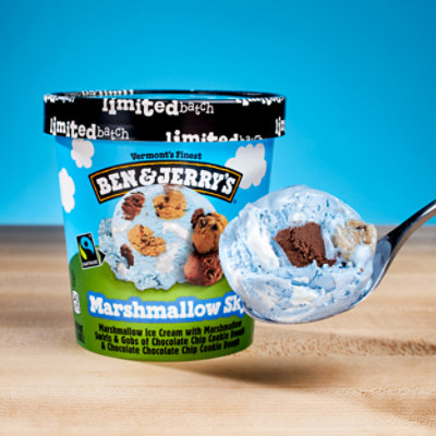 Ben & Jerry's Limited Batch Ice Cream - 16 Oz - Image 5