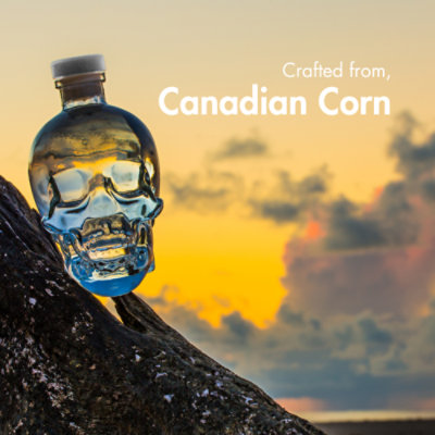 Crystal Head Vodka - 750 Ml - Image 2