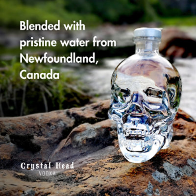 Crystal Head Vodka - 750 Ml - Image 4