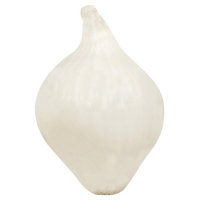 Onions Pearl