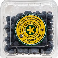 Blueberries Organic Prepacked - 4.4 Oz - Image 2