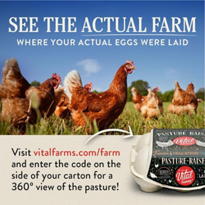 Vital Farms Pasture Raised Eggs Large - 6 Count - Image 3