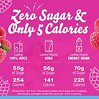 Crystal Light Raspberry Ice Artificially Flavored Powdered Drink Mix On the Go Packets - 10 Count - Image 2