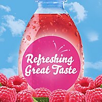 Crystal Light Raspberry Ice Artificially Flavored Powdered Drink Mix On the Go Packets - 10 Count - Image 7