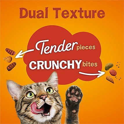 Friskies Cat Food Dry Tender & Crunchy Combo Bag - 16 Lb - Image 4