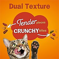 Friskies Cat Food Dry Tender & Crunchy Combo Bag - 16 Lb - Image 4
