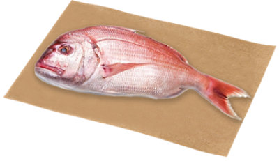 Seafood Red Snapper Whole Fish Fresh Service Case - 1 Lb - Image 1