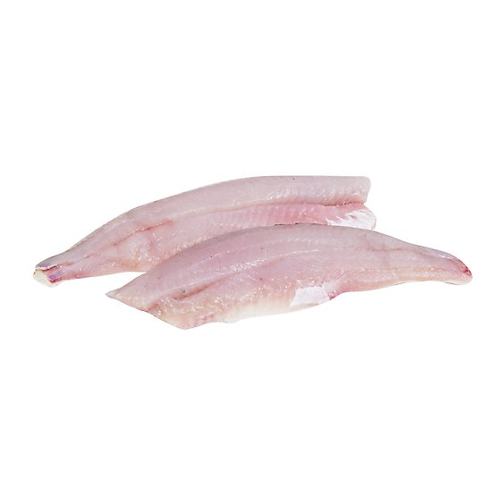 Seafood Service Counter Fish Pike Walleye Fillet Fresh - 1.50 Lbs.