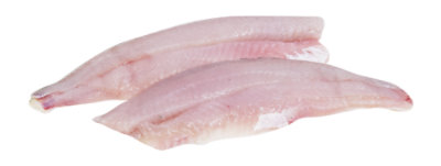 Seafood Service Counter Fish Pike Walleye Fillet Fresh - 1.50 Lbs.