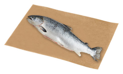 Fish Salmon Sockeye Whole Fresh Service Case - 1 Lb - Image 1