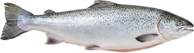 King Salmon Whole Wild Fresh - 1 Lb - Image 1