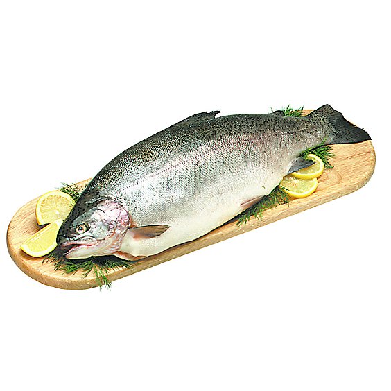 Seafood Service Counter Fish Trout Rainbow Whole Fresh Kosher - 0.75 LB