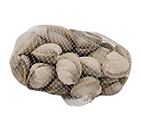 Seafood Service Counter Clams Steamer Farmed - 1.75 LB