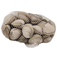 Seafood Service Counter Clams Steamer Farmed - 1.75 LB - Image 1