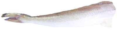 Seafood Counter Whiting Pacific H&G Previously Frozen Service Case - 0.75 LB