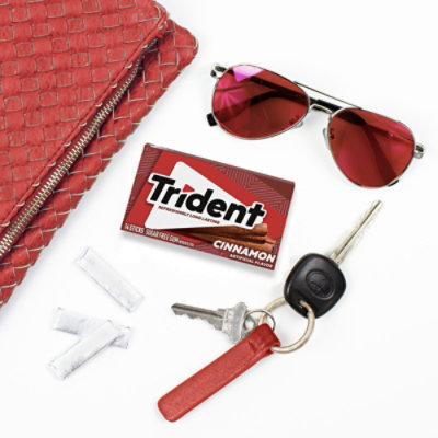 Trident Gum Sugar Free With Xylitol Cinnamon - 14 Count - Image 5