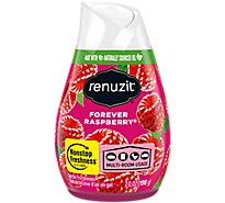 Renuzit Air Freshener Gel Forever Raspberry - 7 Oz