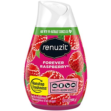 Renuzit Adjustable Gel Air Freshener Forever Raspberry Cone - Each - Image 1