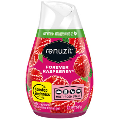 Renuzit Air Freshener Gel Forever Raspberry - 7 Oz