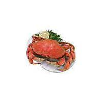 Seafood Service Counter Crab Dungeness Whole Cooked Frozen 1 Count - 2.50 LB - Image 1