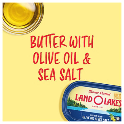 Land O Lakes Butter with Olive Oil and Sea Salt Spreadable Tub - 7 Oz - Image 2