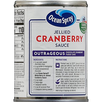 Ocean Spray Sauce Jellied Cranberry - 14 Oz - Image 6