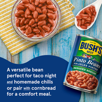 Bush's Reduced Sodium Pinto Beans - 16 Oz - Image 2