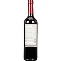 Trivento Wine Malbec Mendoza - 750 Ml - Image 4