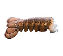 Seafood Counter Lobster Tail Raw 6 Oz Frozen - 0.50 LB