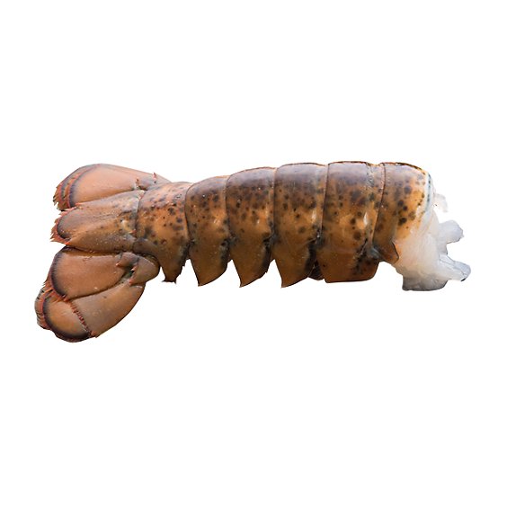 Lobster Tail Raw 4 Oz Frozen 1 Count - Each