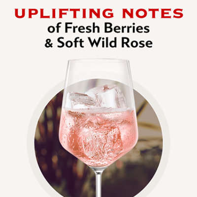 Martini & Rossi Sparkling Wine Rose - 750 Ml - Image 3