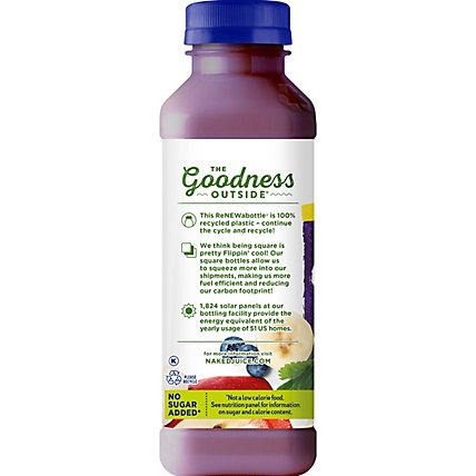 Naked Juice Smoothie Protein Double Berry - 15.2 Fl. Oz. - Image 3