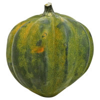 Squash Mixed Bin Organic