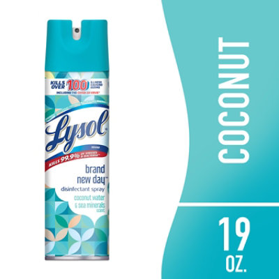 Lysol Disinfectant Spray Coconut Water and Sea Minerals Scent - 19 Fl. Oz. - Image 1