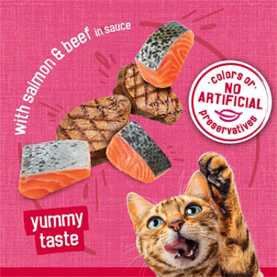 Friskies Salmon & Beef Wet Cat Food - 5.5 Oz - Image 2