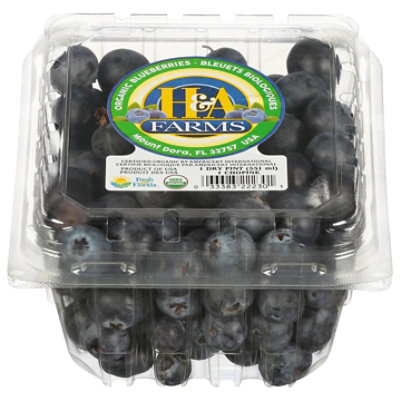 Blueberries Organic - 11 Oz - Image 3