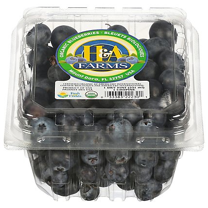 Blueberries Organic - 11 Oz - Image 1