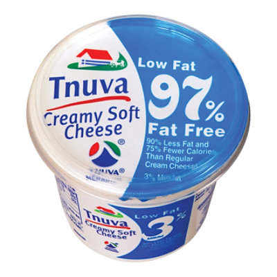 Tnuva Creamy Soft Cheese 3% - 8.8 Oz - Image 1