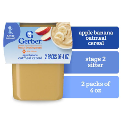 Gerber 2nd Foods Apple Banana with Oatmeal Baby Food Tub - 2-4 Oz - Image 1