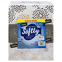 Signature Select Softly Facial Tissue Soft Touch 2 Ply Family Pack - 480 Count - Image 3