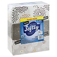 Signature Select Softly Facial Tissue Soft Touch 2 Ply Family Pack - 480 Count - Image 1