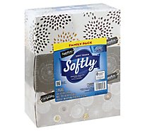 Signature Select Softly Facial Tissue Soft Touch 2 Ply Family Pack - 480 Count